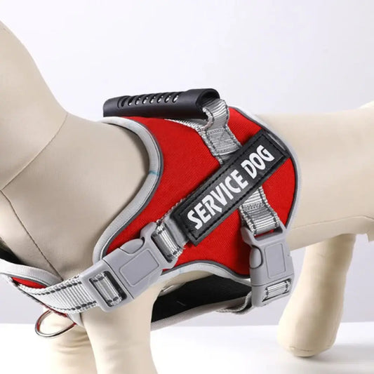 S79f1cb1b33c246d2938721c8332eae12C