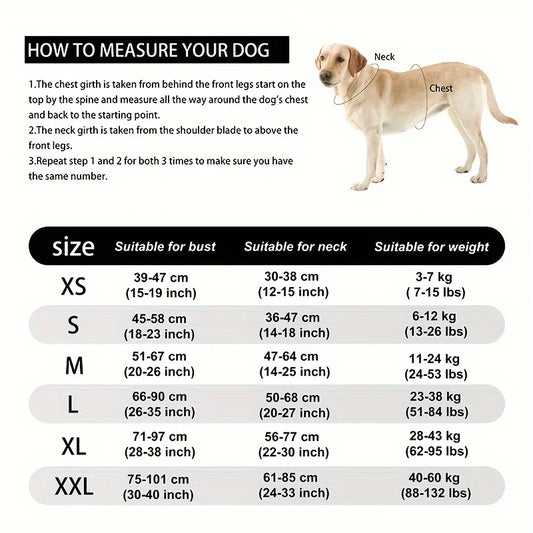 S80b34db3f6d04c948c6cb35af1f4c73e1