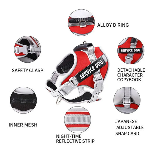 S810e8ffb85114cfeba6b43345302073al