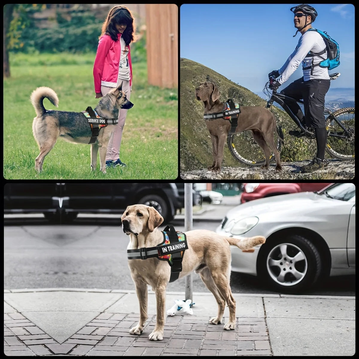 Sc86affb9534641519d17b76e9bc3b2c0w