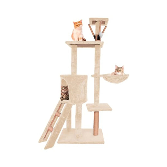 A4e9401b252654099a0dc64aac62def205