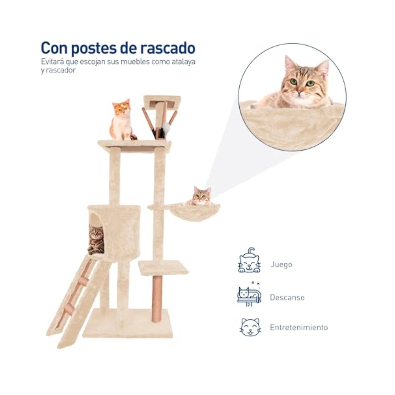 A9de5aea3d04a4e1a9ddd54939eaa1e4d0