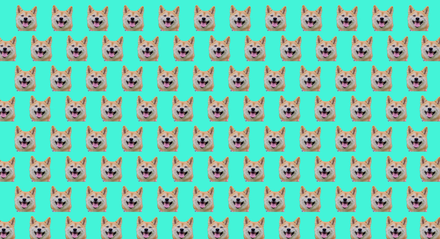 Bandana for Dogs & Cats - Upload Your Pet [Custom Prints]