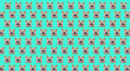 Bandana for Dogs & Cats - Upload Your Pet [Custom Prints]
