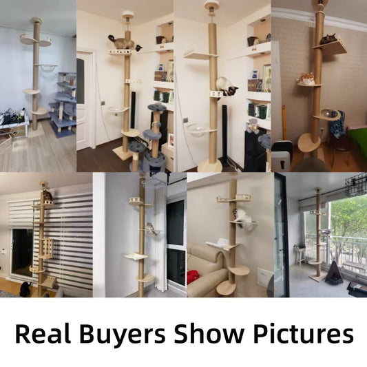 S3c48537141d64fdf84ff00ea76168764I