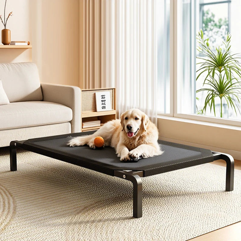 S42bdaf03618048fcbf617f402202d632A