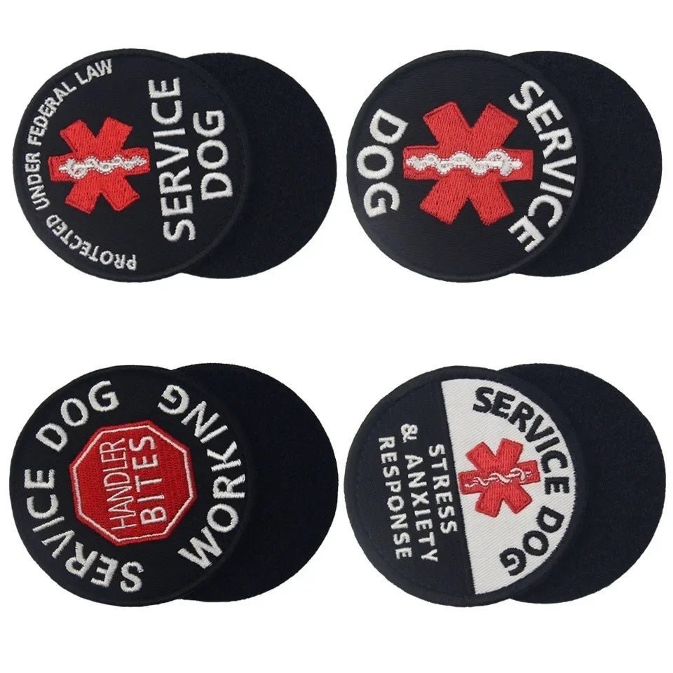 S532ebc474e514e9f85e3844603056647t