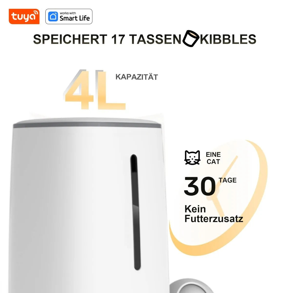 S5f9a6ee2d53246f6a64e7f242ed06182t