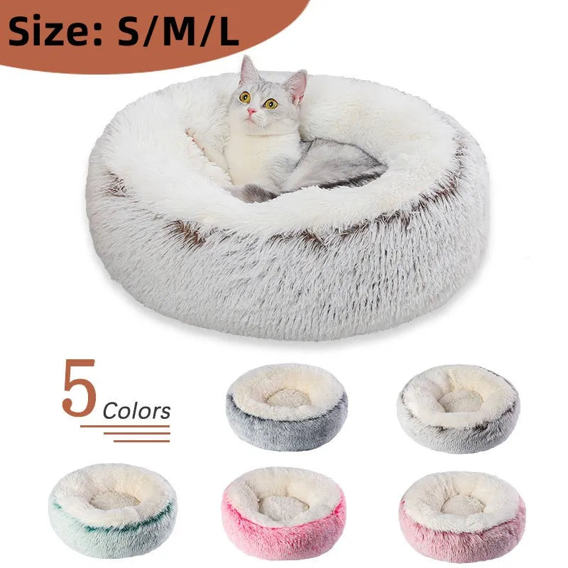 Sdcad9f9d6c9642bfb17fd04de407afc0I