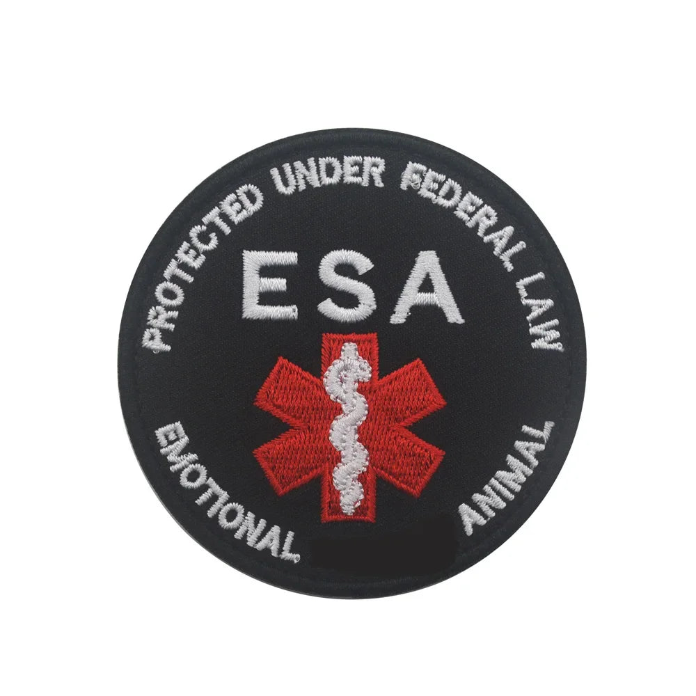 Sfb0186ca0c214aee86d22ecaafb00d42Q